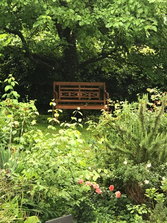 Gartenwohnung Gundelfingen im Breisgau Exterior foto