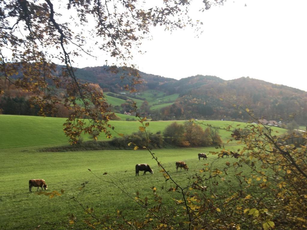 Gartenwohnung Gundelfingen im Breisgau Exterior foto