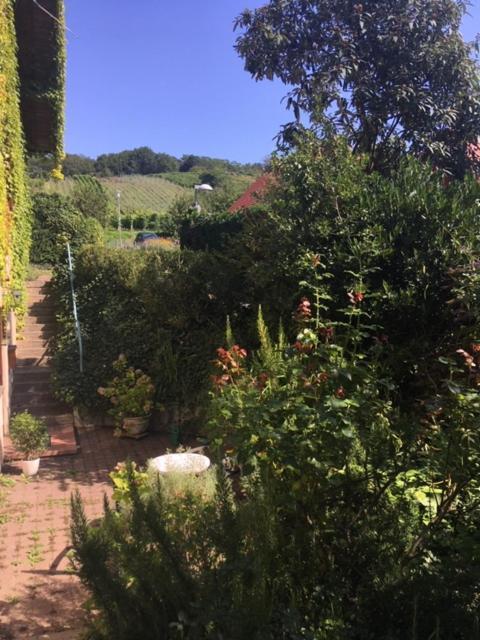 Gartenwohnung Gundelfingen im Breisgau Exterior foto